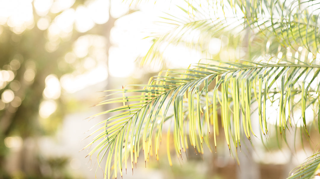 The Ultimate Guide to Coastal-Inspired Attire