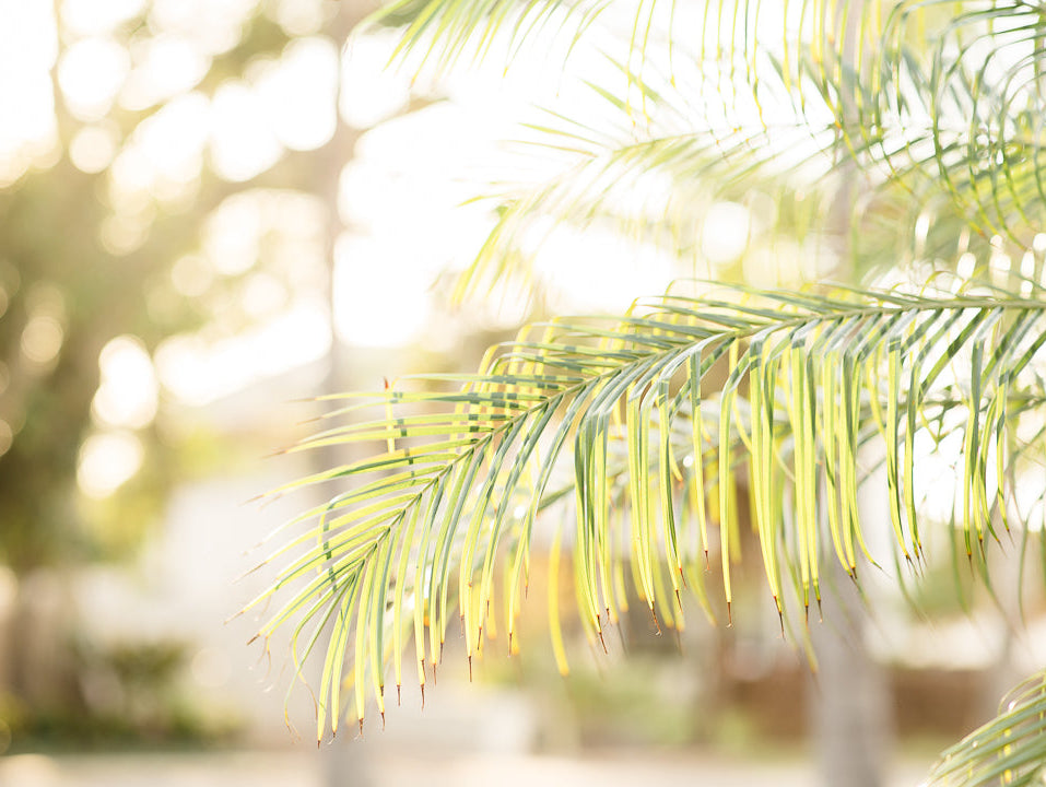 The Ultimate Guide to Coastal-Inspired Attire