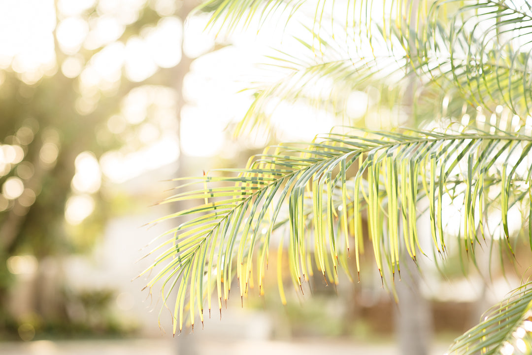 The Ultimate Guide to Coastal-Inspired Attire